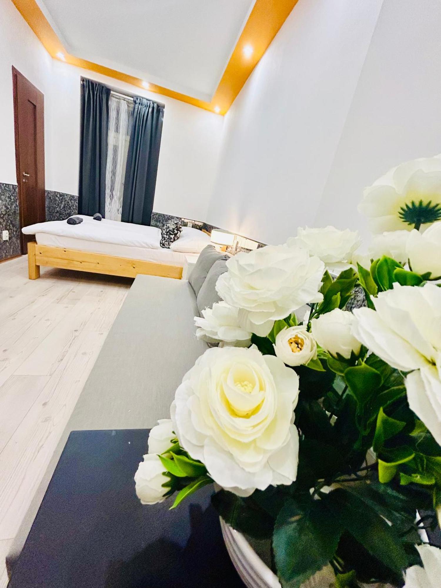 Modern Spacious Apartment In Center Praha Eksteriør bilde
